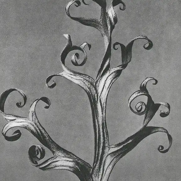 delphinium-flowers به وب سایت سنجاب خوش آمدید